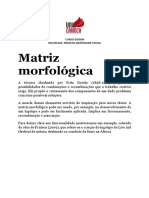 MATRIZ MORFOLÓGICA_90901892