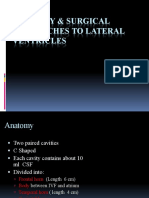 Anatomy and Surgical Approaches To Lateral Ventricles