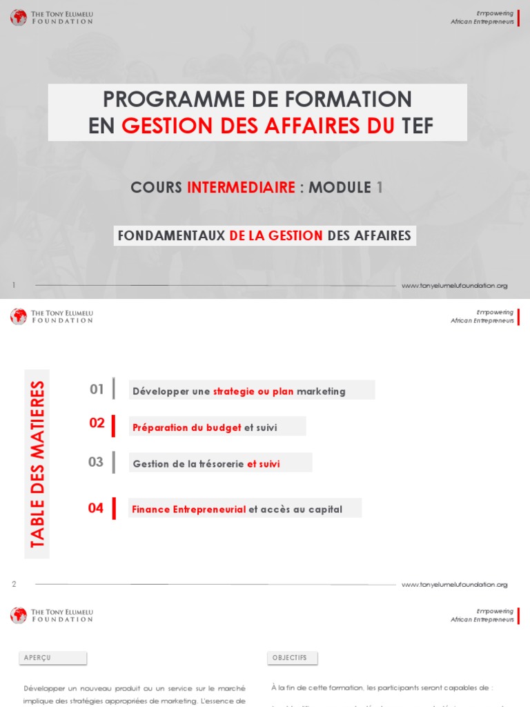 Formation en Gestion des Affaires TEF | PDF | Sociétés | Commercialisation