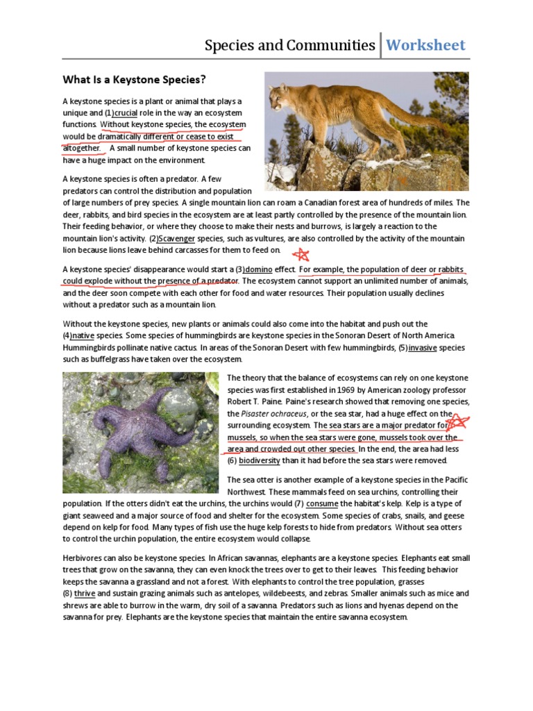 Understanding Keystone Species | PDF | Systems Ecology | Biogeochemistry