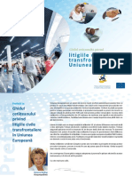 Guide Litiges Civils Transfrontaliers EU Ro