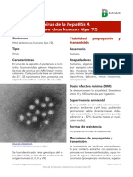 Virus de La Hepatitis A (Entero Virus Humano Tipo 72) 2016