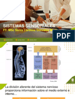 Sistemas Sensoriales