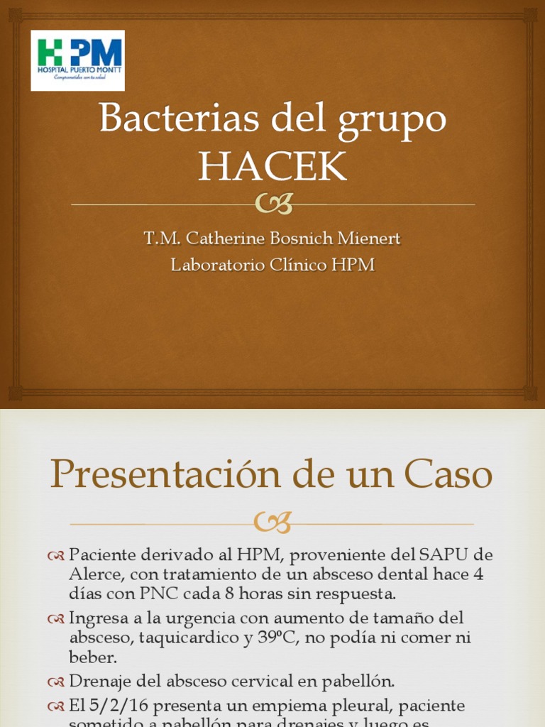 Bacterias del grupo HACEK: Diagnóstico y Tratamiento | PDF ...