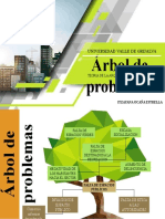 Arbol de Problemas