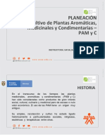 PLANEACIÓN CULTIVO PAM y C