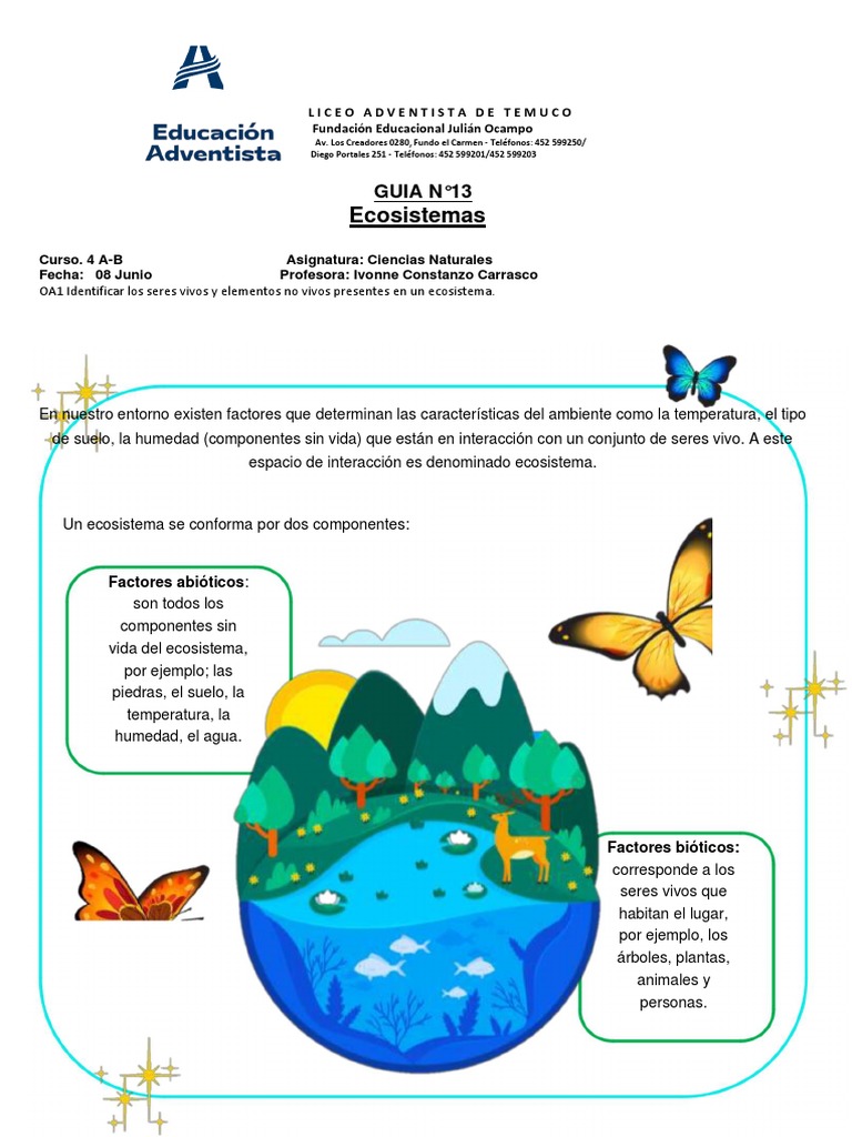 Guia 13 Ecosistema | PDF | Ecosistema | Organismos