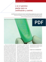 Cys - 35 - 32-37 - Micobacteriosis en El Porcino. Importancia y Pautas para Su Diagnóstico, Identificación y Control