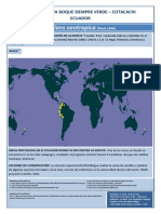 Formato Reverso Fichas Plantas Gira