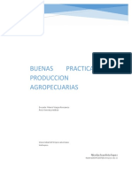 Buenas Prácticas de Producción Agropecuaria