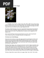 Download Jenis- jenis jamur by Sherlein SN51095426 doc pdf