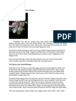 Download Jenis- jenis jamur by Sherlein SN51095426 doc pdf