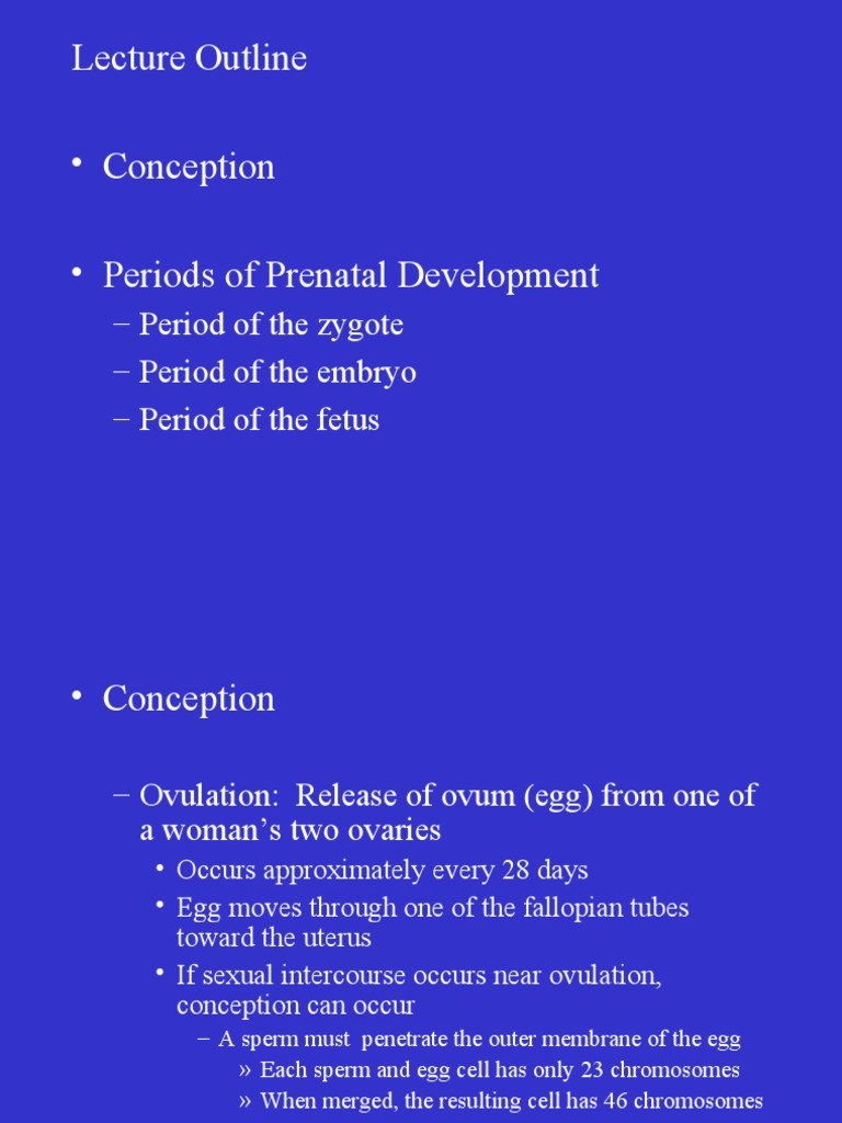 Lecture Outline - Conception - Periods of Prenatal Development | PDF ...
