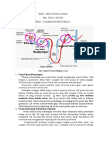 TUGAS SISTEM URINARIA ARSA