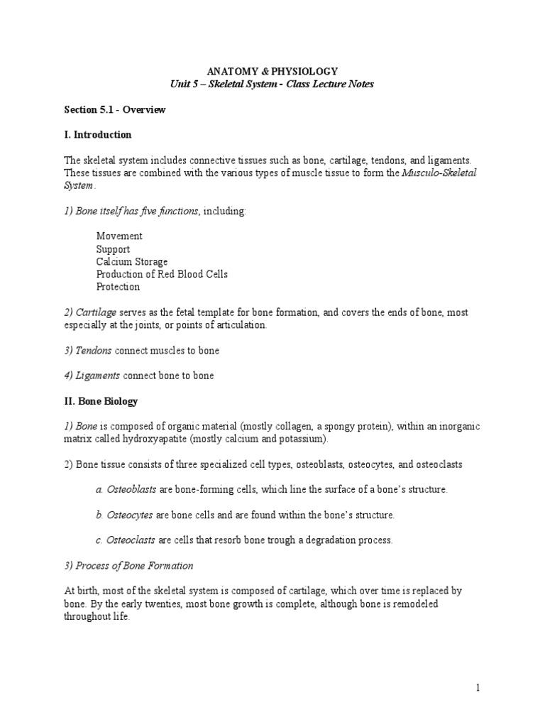 Skeletal System Lecture Notes | PDF | Bone | Osteoblast
