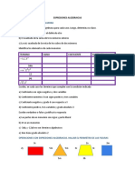 Expresiones Algebraicas1