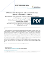 Determinants of Corporate Risk Disclosure in Large Spanish Companies: A Snapshot