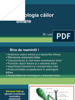 Patologia_căilor_biliare_2020-18215 (1)