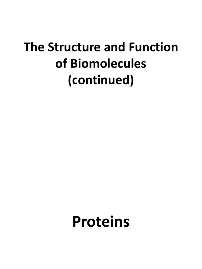 Class 4 The Structure and Functions of Biomolecules PDF Protein