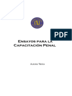 Ensayos Para La Capacitacion Penal - Varios Autores (2)