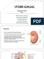FG 1 - Evaluasi Fungsi Ginjal - Anatomi Ginjal