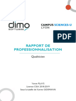 Rapport de Professionnalisation