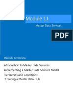 Master Data Services Module 11