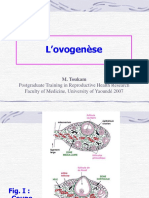 Ovogenese Toukam Yaounde 2007