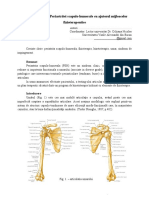 Recuperarea PSH Cu Ajutorul Mijloacelor Fizioterapeutice