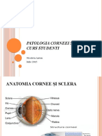 Patologia Corneei Si Sclerei 2