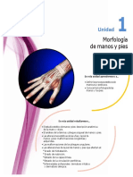 PDF Guia Anatomia Pies y Manos