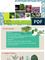 Plantae