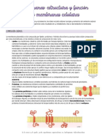 Resumen Tema 2.2 Biologia Celular