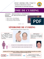 Sindrome de Cushing