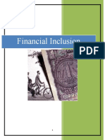 Financial Inclusion(2)