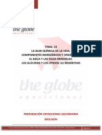 TEMA 23 6.2b PLANTILLA THE GLOBE