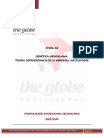 TEMA 63 6.1d PLANTILLA THE GLOBE