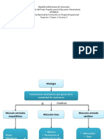 Mapas Conceptuales Miologia