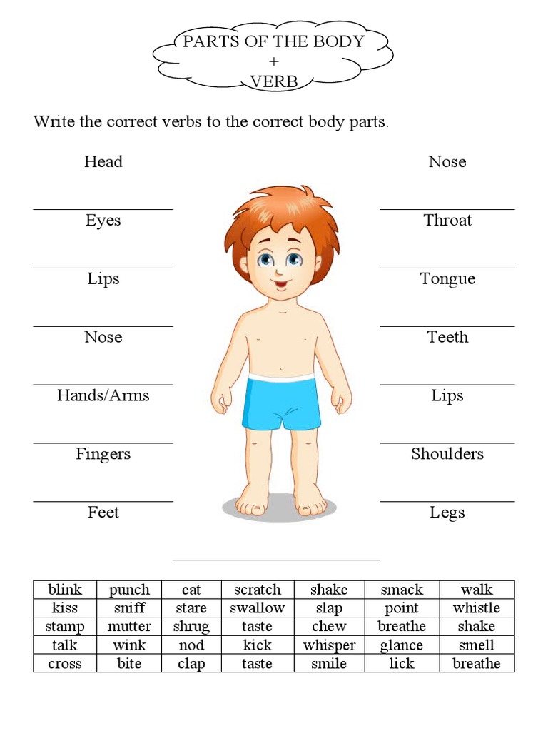Parts of The Body + Verb Write The Correct Verbs To The Correct Body