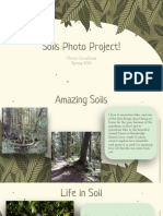 Soils Photo Project