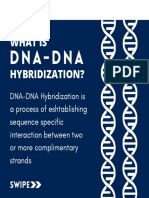 DNA-DNA Hybridization