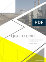 Company Profile (QNDE)