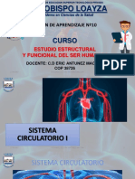 Sesion 10 - Sistema Circulatorio I