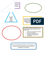 Proceso Secuenciado de Cambios en El Crecimiento y en La Maduración, Representados Mediante Parámetros Morfológicos y Funcionales