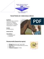 Parcial Práctico de Equino I Módulo (Casos Clínicos.)
