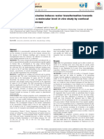 A Oclusão Do Estrato Córneo Induz a Transformação Da Água Para Um Estado de Ligação Inferior- Um Estudo de Nível Molecular in Vivo Por Microespectroscopia Raman Confocal