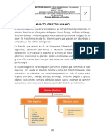 5 - naturales - 01