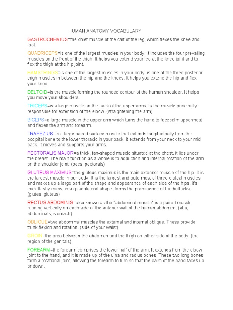 Human Anatomy Vocabulary