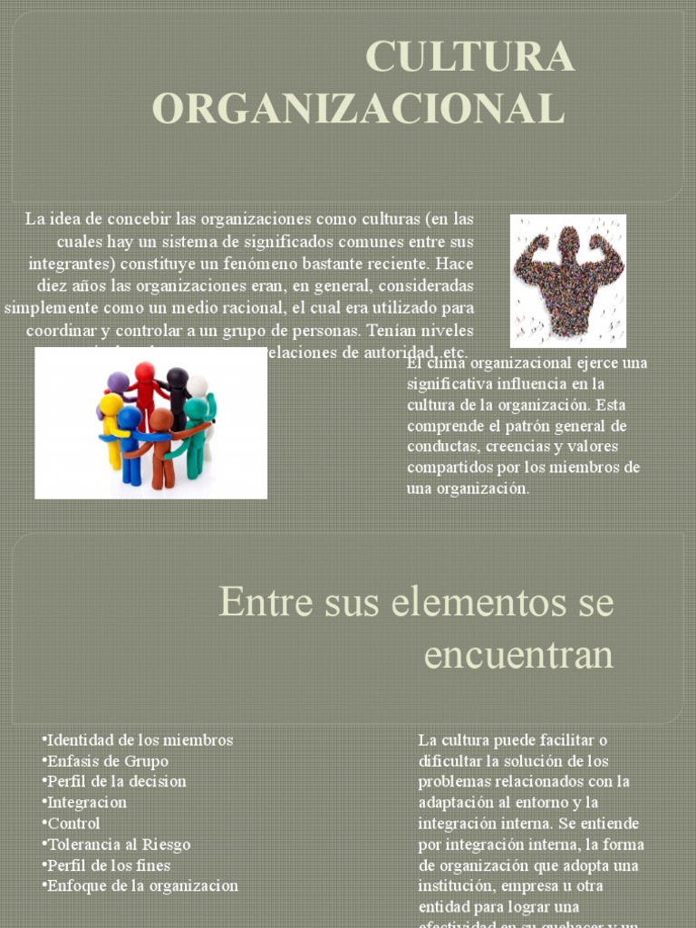 Tipos y Elementos de Cultura Organizacional | PDF | Cultura ...