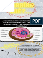 Células eucariotas y sus organelos